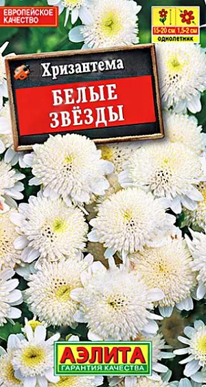 Семена Хризантема девичья Белые звезды. Быстрорастущий летник с обильным и продолжительным цветением. Кустики компактные, сильноветвистые, вы сотой 15-20 см, с красивыми ажурными листьями. Махровые цветки диаметром 1,5-2 см. собраны в соцветия-корзинки диаметром 3-5 см. и расположены на верхушках побегов. Растения используют для бордюрной посадки на клумбах, рабатках, вдоль дорожек. Хороший сорт для контейнерного выращивания.<br>
 <br>
 Растения неприхотливые: холодостойкие (выносят кратковременные заморозки до -4°С), светолюбивые, засухоустойчивые, хорошо адаптируются к различным условиям выращивания. Для стимуляции ветвления молодые растения прищипывают. Возможен рассадный способ культивирования (посев в начале апреля).<br>