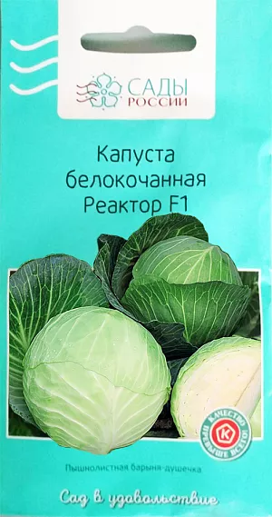 Семена Капуста белокочанная Реактор F1
