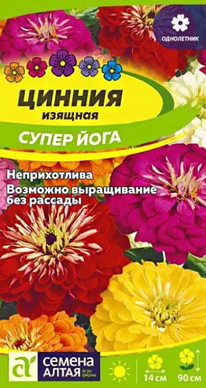 Семена Цинния изящная "Супер Йога".<br>
Великолепный новый сорт циннии, прекрасно подходит для составления букетов. Растение стройное, высотой до 90 см, побеги увенчаны крупными полушаровидными махровыми соцветиями ярких чистых расцветок. Праздничный вид растений неизменно привлекает внимание при выращивании в садах и скверах. Используется для оформления цветников, рабаток, миксбордеров, долго сохраняет декоративность в срезке. Растение относительно засухоустойчиво, но требует регулярных поливов, чувствительно даже к легким заморозкам. Предпочитает солнечные, защищенные от ветра теплые участки с дренированной нейтральной, богатой гумусом и минеральными элементами почвой. Посевы на рассаду проводят с конца марта под стекло. Глубина заделки семян 0,5 см. При температуре +22…+25°С всходы появляются на 7-10 день. С развитием первой пары настоящих листочков сеянцы пикируют в отдельные горшочки. В фазе 5-6 листьев проводят формирующую прищипку. В открытый грунт на постоянное место рассаду высаживают в конце мая – начале июня, когда минует угроза заморозков. Посадочный интервал – 30-40 см. Возможен прямой посев семян в открытый грунт в мае. Продолжительность цветения с июля до осенних холодов. Удаление увядших соцветий способствует более пышному и продолжительному цветению.
