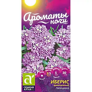 Иберис Лилициана зонтичный