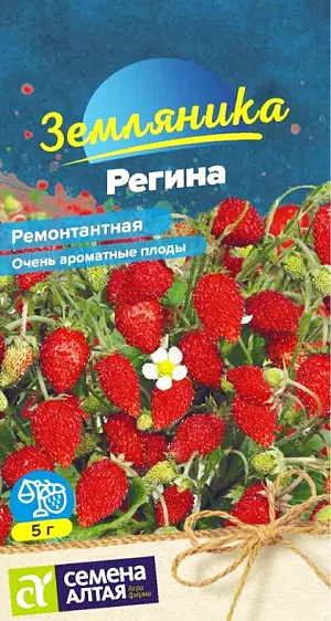 Семена Земляника (клубника) Регина ремонтантная Семена Земляника (клубника) Регина ремонтантная