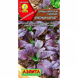 Горчица салатная Красный бархат