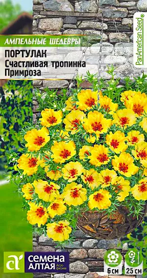 Портулак Счастливая тропинка Примроза из каталога Портулак <div>
Семена Портулак Счастливая тропинка Примроза.
</div>
Крупноцветковый почвопокровный однолетник, суккулент, со стелющимися сочными побегами высотой 20-25 см. При выращивании в саду, образует небольшие аккуратные коврики, в период цветения сплошь покрытые изысканными шелковистыми полумахровыми цветками нежно-желтой окраски с ярко-оранжевым центром. Цветки крупные, до 6 см в диаметре. Станет прекрасным дополнением ассортимента клумбовых и балконных растений, также активно выращивают в качестве ампельного растения, в саду им украшают рабатки, альпийские горки. Свето- и теплолюбивое, засухоустойчивое растение, предпочитает легкие дренированные известкованные почвы без избытка органики. На рассаду семена высевают с конца февраля. <br>
<br>
Готовится смесь из садовой земли и песка в соотношении 4:1. Готовый грунт необходимо прокалить в духовке и распределить по рассадным контейнерам, на дно предварительно укладывается дренаж. Семена не заделывают, а лишь слегка вдавливают в субстрат. Для получения наилучшего результата посев рекомендуем проводить в торфяные таблетки (одно драже в таблетку). Посевы накрывают стеклом и помещаю в теплое место с температурой не менее +22оС. Всходы появляются на 7-14 день, им требуется дополнительная подсветка фитолампой. Увлажнять посевы следует отстоянной водой. При появлении двух настоящих листочков сеянцы пикируют по три ростка в стаканчики диаметром 7-8 см. При пересадке следить, чтобы на корнях оставался земляной ком. Приживаться в новом контейнере ростки будут около недели. Далее рекомендуется внести первую подкормку. В открытый грунт рассаду высаживают в мае сразу на постоянное место. Посадочный интервал 20-30 см. Растение устойчиво к болезням и вредителям.<br>
<br>
<b> Внимание! Семена заключены в мультидраже. Оболочку драже не разрушать! Одно мультидраже содержит 3-5 семян. Благодаря этому при пикировке растение высаживается плотными пучками.</b>