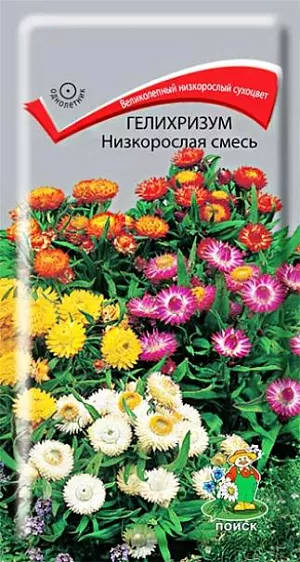 Семена Гелихризум Низкорослая смесь. Компактное ветвистое растение высотой около 30 см. Листья ланцетные сидячие. Соцветия корзинки в ярких листочках обертках самых разнообразных окрасок. Цветет обильно с июля до заморозков. Прекрасно подходит для контейнерной культуры, используют в самых различных цветниках, как бордюрное растение. Великолепный сухоцвет, незаменим для сухих букетов.<br>
Агротехника. Растение предпочитает открытые солнечные места и легкие питательные почвы. Семена на рассаду высевают в марте-апреле. Глубина заделки семян 0,5-1 см. При температуре почвы +18°С всходы появляются через 10-15 дней. Сеянцы содержат при умеренной температуре. В грунт рассаду высаживают, когда минует угроза весенних заморозков. Расстояние между растениями 20 см. 