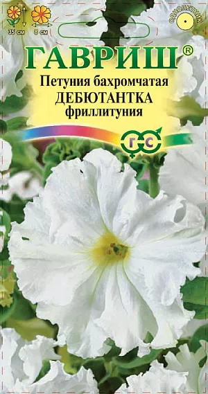 Семена Петуния Дебютантка фриллитуния бахромчатая из каталога Петуния Семена Петуния Дебютантка фриллитуния бахромчатая.<br>
Фантастически красивый сорт бахромчатой петунии с белыми цветками диаметром 8 см. Образует аккуратный, привлекательный куст высотой 35 см. Цветет с июня до заморозков. Посев проводят с февраля по март. При зимнем посеве всходам необходима подсветка. Всходы появляются через 7-12 дней. На постоянное место высаживают, когда минует опасность заморозков. <br>
Светолюбива и достаточно засухоустойчива. Предпочитает легкие, плодородные, хорошо дренированные почвы. Украсит клумбы, вазоны, балконные ящики, подоконники, низкорослые бордюры.
