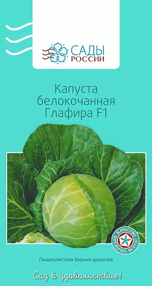Семена Капуста белокочанная Глафира F1 Семена Капуста белокочанная Глафира F1