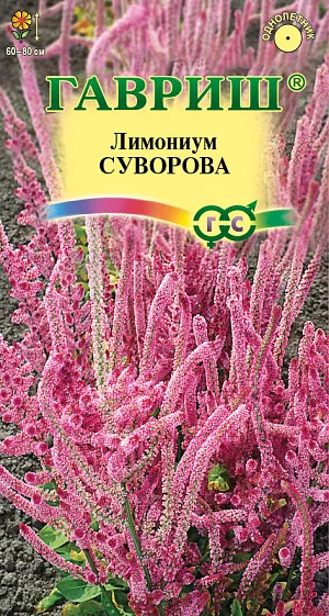 Семена цветов Лимониум Суворова розовый.<br>
 <br>
Однолетник высотой 60-80 см. Растение представляет собой розетку листьев с выходящими из нее побегами. Соцветия длинные колосовидные, состоят из мелких розовых цветков. Цветение обильное с июля до заморозков. Посев на рассаду в начале апреля, прямой посев в открытый грунт в мае. Всходы появляются через 10-12 дней. Пикировать сеянцы лучше в горшочки, так как рассада с открытой корневой системой приживается плохо. На постоянное место высаживают в мае, на расстоянии 20-25 см. друг от друга. Лимониум можно располагать небольшими группами в миксбордерах, рокариях. Для сушки цветоносы срезают во время полного цветения, но до того момента, как начнут блекнуть нижние цветки.