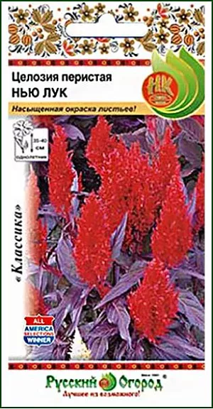 Семена Целозия перистая Нью Лук.<br>
 <br>
 Сорт перистой целозии с привлекательной, фиолетовой окраской листьев и яркими метельчатыми соцветиями. Кустики раскидистые.<br>
 Цветет до заморозков, не теряя декоративности. Применяют для создания низких бордюров, рабаток, клумб, а также как контейнерную и горшечную культуру.<br>
 Подходит для большинства климатических зон.<br>
 <br>
 Культура свето- и теплолюбива. Выращивают через рассаду. Посев поверхностный. При оптимальной температуре 20°С всходы появляются через 7-14 дней.<br>
 Высадка в открытый грунт, когда минует угроза заморозков. Размещают на легких, достаточно плодородных, водопроницаемых  почвах. Не переносит свежих органических удобрений.<br>