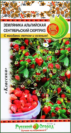 Семена Земляника (клубника) альпийская Сентябрьский сюрприз