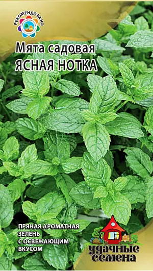 Семена Мята садовая Ясная нотка
