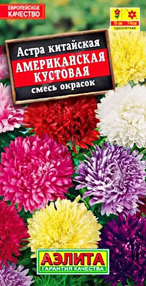 Семена Астра Американская кустовая смесь. Высота растения 70 см <br>
 Диаметр цветка 12 см<br>
 Смесь раннего срока цветения. Формирует широкие, раскидистые кусты высотой 50-60 см. Цветоносы прочные, густооблиственные. Соцветия густомахровые, полусферические или шаровидные, диаметром 7-9 см. На кусте одновременно раскрыты до 15 соцветий. Сорт универсального назначения, подходит для срезки и посадки в цветники. <br>
Посев. Выращивают рассадным способом. С развитием первой пары настоящих листочков сеянцы пикируют. На постоянное место рассаду высаживают в возрасте 30-35 дней. Возможен посев семян в открытый грунт весной или под зиму, в конце октября. Растениям необходимы регулярные поливы, прополки, рыхления и подкормки.