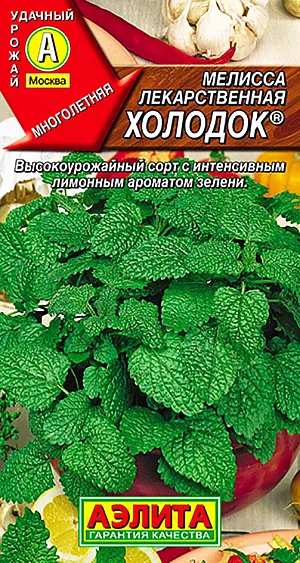 Семена Мелисса лекарственная Холодок