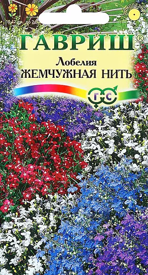 Семена Лобелия Жемчужная нить из каталога Лобелия Семена Лобелия Жемчужная нить.
Смесь популярных сортов голубой, розовой, фиолетовой, белой окраски. Растения однолетние.
Стебли тонкие, сильноветвящиеся от основания, густо облиственные. Кустики компактные, шаровидные, 10-12 см высотой.
Листья мелкие, ланцетные, цельные. Цветки многочисленные, до 2 см в диаметре, двугубые, на коротких цветоножках, по одному в пазухах
листьев. Продолжительность и обильность цветения увеличиваются при своевременном удалении отцветших стеблей.
Размножают семенами, посев которых производят в феврале-апреле. Для равномерности посевов семена смешивают с сухим песком в соотношении 1:50 и не заделывают.
Великолепно подходят для оформления клумб, цветников, особенно корзин.