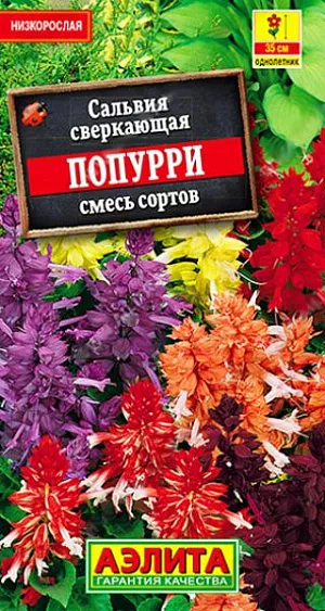 Семена Сальвия Попурри. Смесь окрасок популярного летника. Кустики невысокие – до 35 см, компактные, густо облиственные. Соцветия 15-25 см. длиной. Цветение раннее и продолжительное, до первых заморозков. Рекомендуется для оформления парадных клумб, рабаток, бордюров, групповых посадок. Подходит для выращивания в горшках и балконных ящиках.<br>
 <br>
 В фазе трех-четырех пар листьев проводят формирующую прищипку рассады для лучшего кущения. Посадки размещают на солнечных участках. Сальвия предпочитает хорошо дренированные, умеренно плодородные почвы среднего мех состава с нейтральной кислотностью. Не любит переувлажнения.<br>