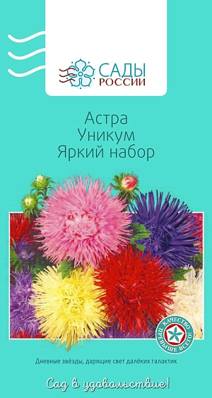 Астра Игольчатая Уникум Яркий набор


Изысканная и неповторимая игольчатая астра с лучистыми крупными махровыми соцветиями диаметром 7–10 см. Куст колонновидный. Холодостойка, выносит слабые заморозки до −3 °С.