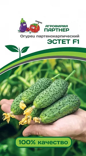 Семена Огурец Эстет F1