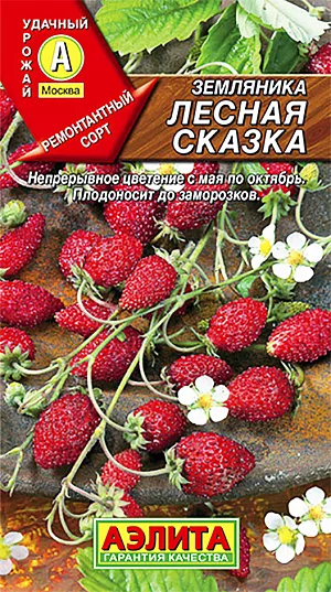 Семена Земляника (клубника) Лесная сказка