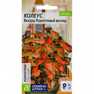 Семена Колеус Визард Коралловый Восход