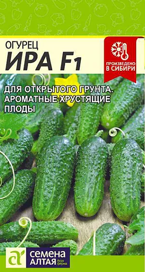 Семена Огурец Ира F1