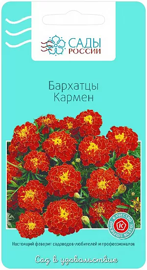 Семена Бархатцы Кармен.
Название говорит само за себя. Яркие, практически красные соцветия, диаметром 4 см, густомахровые, с жёлтым центром. Прекрасно сочетаются с агератумом или синей лобелией. Кустики компактные, плотные.
Африканские бархатцы нам знакомы как шафраны. Традиционно это высокорослые сильные растения, не поддающиеся никаким ветрам. Они великолепны в центре любой круглой клумбы или у заднего края рабатки. Прекрасно стоят в срезке, наполняя комнату нежнейшим ароматом.