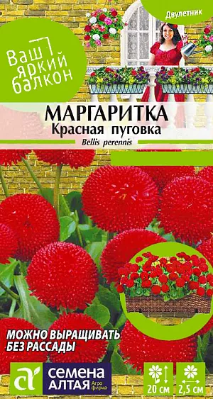Маргаритка Красная пуговка помпонная из каталога Маргаритка <div>
Семена Маргаритка Красная пуговка помпонная.
</div>
Очаровательное миниатюрное растение высотой до 20 см, выращиваемое как двулетник. Образует многочисленные раскидистые цветоносы, увенчанные соцветиями – одиночными махровыми корзинками диаметром 2,5 см, с обилием язычковых лепестков рубиновой окраски. Маргаритка сделает ваш сад уютным и нарядным. Используется в групповых посадках на рабатках, островками на газонах, в декорировании балконных ящиков. Прекрасно сочетается с незабудками, тюльпанами, нарциссами, виолами. Светолюбивое, холодостойкое растение, выносит полутень. Предпочитает солнечное местоположение на умеренно плодородных лёгких почвах. Для получения растений, цветущих в год посева, семена на рассаду сеют не позднее начала марта, в открытый грунт рассаду высаживают в начале июня. Обычно же посевы проводят в конце июня - начале июля на рассадные гряды. Глубина заделки семян – 1-2 мм. При температуре почвы +18°C всходы появляются на 7-14 день. Сеянцы пикируют в фазе 1-2-х пар настоящих листьев по схеме 10х10 см. В августе их пересаживают на постоянное место с шагом 20 см. Цветение при посеве семян в грунт – на второй год в апреле-июле, при хорошем уходе цветение продолжается до осени с перерывом в жаркий период сезона.