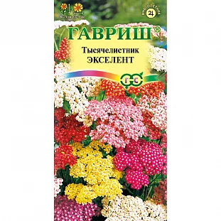 Тысячелистник Экселент Тысячелистник Экселент