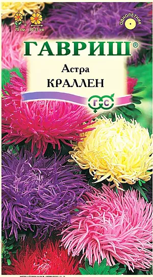 Семена Астра Краллен смесь.
Растение высотой 75 см. Куст букетной формы, узкий, прочный. Соцветия махровые, коготковые, разнообразной окраски, 10-11 см в диаметре.
Для выращивания подходят освещенные участки с плодородной суглинистой или супесчаной почвой. 
Астры хорошо переносят заморозки до -3-4°C. Выращивают, чаще всего, рассадным способом. 
Семена высевают в марте-апреле, пикируют с развитием первой пары настоящих листочков по схеме 5х5 см, в открытый грунт рассаду высаживают с середины мая до начала июня. Возможен подзимний посев астр: в конце октября на глубину 5-8 см. 
Сверху посевы мульчируют торфом или опилками на высоту 3-5 см. Весной, в конце марта-начале апреля, посевы раскрывают. 
Появившиеся в конце апреля всходы будут закаленными, а выросшие растения сильными, устойчивыми к заморозкам и обильно цвести. 
Используются для получения срезки и оформления участка.