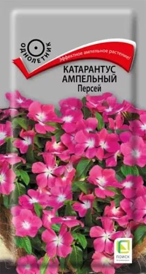 Эффектное ампельное растение! Длина побегов 50-70 см. Обильноцветущие кустики высотой 10-15 см. Листья тёмно-зелёные, овальные. Цветки крупные, диаметром 3-5 см. Окраска - розовая с белым глазком. Используют для украшения балконов, лоджий, в подвесных корзинах, кашпо.

Агротехника. Растение теплолюбивое, хорошо растет на открытых солнечных местах или в полутени. Обильно цветёт на лёгких, плодородных почвах. Посев семян производят в рассадные ящики в феврале-марте. Семена засыпают мелкозернистым песком слоем 3 мм и поддерживают постоянную влажность. При температуре почвы 20°C всходы появляются через 15 дней. Высаживают по 3 растения в кашпо.