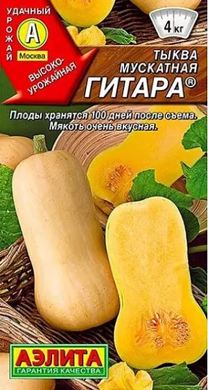 Тыква мускатная Гитара
