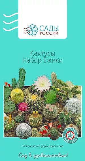 Кактусы Ёжики набор

Одно из самых удивительных, разнообразных, по-своему обаятельных, красивых растений. Кактус создает совершенно неповторимую атмосферу спокойствия и доброжелательности. Многие ученые считают, что почти все виды этого «колючего семейства» обладают лечебными свойствами и способны блокировать вредное влияние электромагнитного излучения.