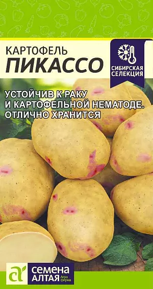 Семена Картофель Пикассо Семена Картофель Пикассо