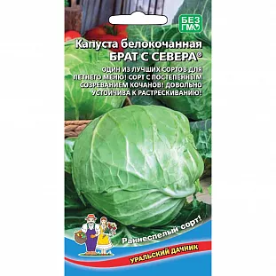 Семена Капуста белокочанная Брат с Севера Семена Капуста белокочанная Брат с Севера