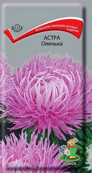 Семена Астра Оленька. Игольчатые лавандово-розовые соцветия. Куст высотой 60-65 см. Соцветия крупные, диаметром 11-12 см. На растении формируется 10-14 соцветий. Цветёт август-октябрь. Используют очень широко: для посадки в сборные цветники группами, на рабатки - рядами и для срезки.<br>
 <br>
 <br>
 Растение предпочитает открытое солнечное место, но выносит и полутень. Лучше растет на легких, плодородных почвах. Не переносит внесения  органических удобрений в год посадки. Семена высевают с середины февраля по апрель. Глубина заделки семян 0,5 см. При температуре почвы +20<sup>0</sup>C всходы появляются на 7-14 день. Через 3-4 недели посевы пикируют  и выращивают при температуре +12-15<sup>0</sup>C. В грунт рассаду высаживают во второй половине мая, расстояние между растениями 20-30 см.<br>