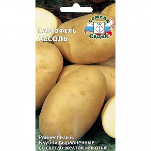 Семена Картофель Ассоль