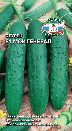 Семена Огурец Мой генерал F1 Семена Огурец Мой генерал F1