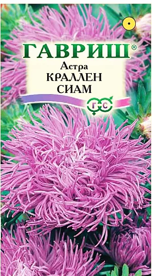 Семена Астра Краллен Сиам.
Растение высотой 50-60 см. Куст букетной формы, узкий, прочный. Соцветия махровые, коготковые, сиреневые, 10-12 см в диаметре. Для выращивания подходят хорошо освещенные участки с плодородной суглинистой или супесчаной почвой. Астры обладают высокой холодостойкостью – хорошо переносят заморозки до -3-4°C. Выращивают, чаще всего, рассадным способом. Семена высевают в марте-апреле, пикируют с развитием первой пары настоящих листочков по схеме 5х5 см, в открытый грунт рассаду высаживают с середины мая до начала июня. Возможен подзимний посев астр: в конце октября на глубину 5-8 см. Сверху посевы мульчируют торфом или опилками на высоту 3-5 см. Весной, в конце марта-начале апреля, посевы раскрывают. Появившиеся в конце апреля всходы будут закаленными, а выросшие растения сильными, устойчивыми к заморозкам и обильно цвести. Используются для получения срезки и оформления участка.