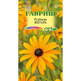 Рудбекия Янтарь Рудбекия Янтарь