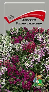 Семена Алиссум Мэджик циклес микс