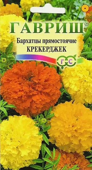 Бархатцы Крекерджек прямостоячие из каталога Бархатцы Семена Бархатцы Крекерджек прямостоячие.
Одно из самых распространенных однолетних растений семейства Астровые.
Образует куст высотой 70 см с ясно выраженным главным побегом.
Соцветия крупные (11-14 см в диаметре) густомахровые, оранжевой, золотисто-желтой и лимонно-желтой окраски.
Цветет с июня до заморозков. Светолюбивы и теплолюбивы, заморозков не переносят.
К почвам нетребовательны, но предпочитают плодородные легкие почвы. Выращивают, как правило, рассадным способом.
Посев проводят во второй половине марте-начале апреля. Всходы появляются через 4-8 дней после посева, сеянцы пикируют в фазе 2-го настоящего листа. Рассаду высаживают в начале июня, расстояние между растениями 30-35 см.
Используют для посадки на клумбах, в группах, для получения срезки.