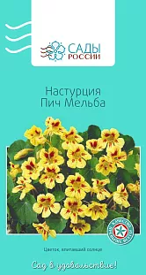 Настурция Пич Мельба 10шт