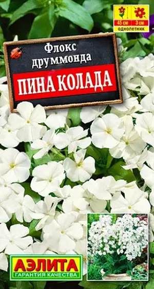 Семена Флокс Друммонда Пина Колада из каталога Флокс Семена Флокс Друммонда Пина Колада. Неприхотливый однолетний флокс с обильным и длительным цветением. Белоснежные цветки диаметром 2-4 см. собраны в щитковидные соцветия до 12 см в поперечнике. Цветки душистые; считается, что у белых флоксов аромат более интенсивный, чем у флоксов других расцветок. Кустики прямостоячие, раскидистые, хорошо разветвленные, высотой 35-45 см. Сорт подходит для контейнерной культуры на балконе и в саду. В цветниках открытого грунта используется для групповых и бордюрных посадок.<br>
<br>
Флокс друммонда – растение холодостойкое и светолюбивое. Относительно засухоустойчивое, но в жаркую сухую погоду нуждается в поливах. Предпочитает плодородные, дренированные, некислые почвы. Отцветшие соцветия необходимо регулярно удалять. В южных регионах возможен без рассадный способ культивирования.<br>
<br>
<br>
<br>
<br>