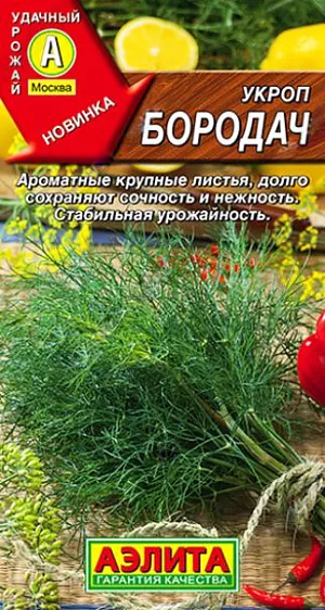Семена Укроп Бородач Семена Укроп Бородач