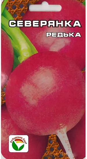 Семена Редька Северянка