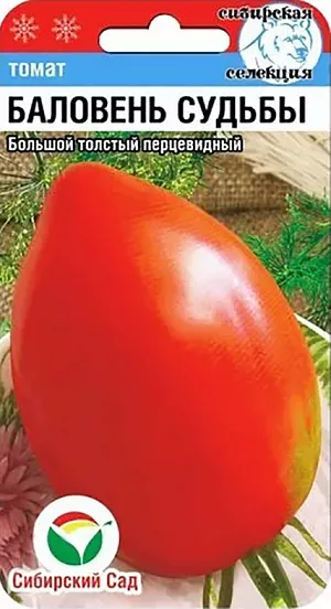 Семена Томат Баловень судьбы Семена Томат Баловень судьбы