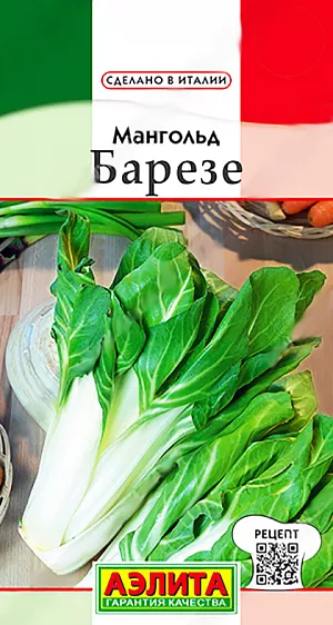 Мангольд Барезе