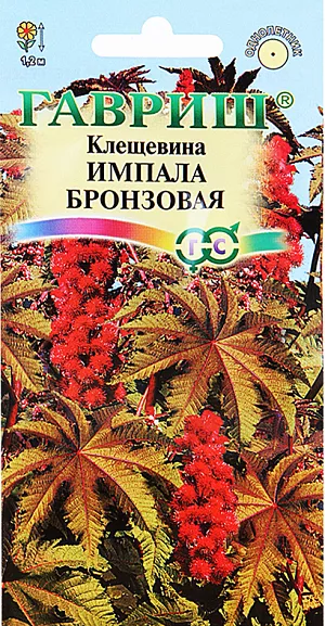 Семена Клещевина Импала Бронзовая.
Декоративное растение из семейства Мальвовые высотой 1,2 м. Растение мощное, быстрорастущее, достигающее исполинских размеров. 
Стебли прямостоячие, разветвленные. Листья зеленые, бронзовые с красным оттенком, пальчато-раздельные, с 5-10 лопастями.
Цветки ярко-красные, собраны в плотные кистевидные соцветия. Теплолюбива, светолюбива и довольно засухоустойчива, предпочитает участки с плодородной и хорошо обработанной почвой. Выращивается рассадным способом. Посев проводят в начале апреля в горшочки по 2-3 шт. Всходы появляются через 10-12 дней.
Рассаду высаживают в открытый грунт в начале июня на расстоянии 60-80 см. Используется в оформлении участка.