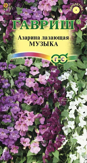 Семена Азарина Музыка смесь.
Растение однолетние, вьющееся до 3-3,5 м. Мелкие темно-зеленые бархатистые листья – великолепный фон для крупных, до 3 см, воронковидных цветов насыщенных белых, розовых, синих, фиолетовых тонов, располагающихся по всей длине стебля. При раннем посеве цветение начинается в июне и продолжается до осени. Растение предпочитает хорошо дренированную почву и солнечные места. При выращивании рассады посевы проводят в феврале-апреле в горшочки по 3-4 семени. Семена слегка вдавливают в почву, не присыпая землей. Посадочную емкость накрывают стеклом и ставят в освещенное место. При температуре почвы +10-20 °С всходы появляются на 14-21 день. Рассаду в открытый грунт высаживают в конце мая. Используют для декорирования балконов, беседок, перегородок.