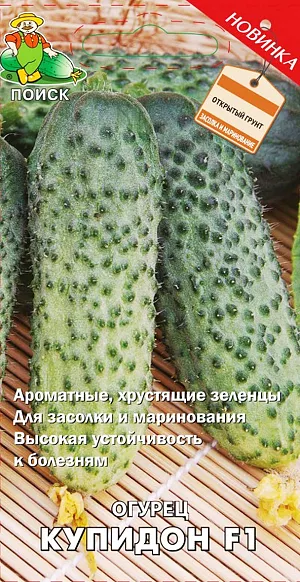 Семена Огурец Купидон F1