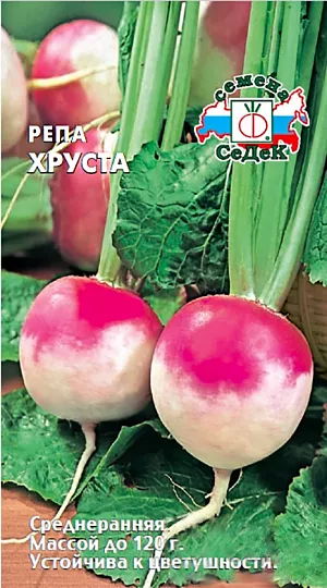 Семена Репа Хруста