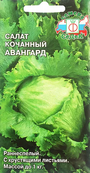Семена Салат кочанный Авангард
